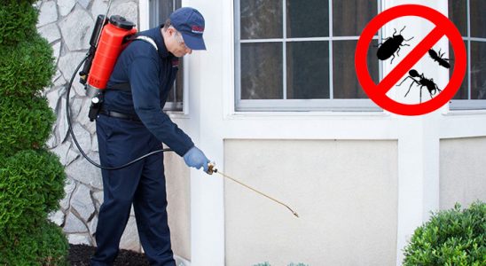 Çan Gümüşkurt İlaçlama böcek ilaçlama ve haşere kontrolü — ilaclama-tr.com
